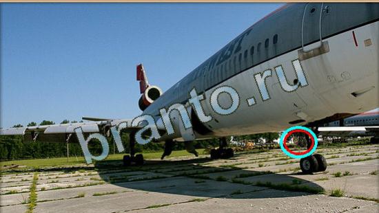 Игра Где же кот прохождение Уровень 4180