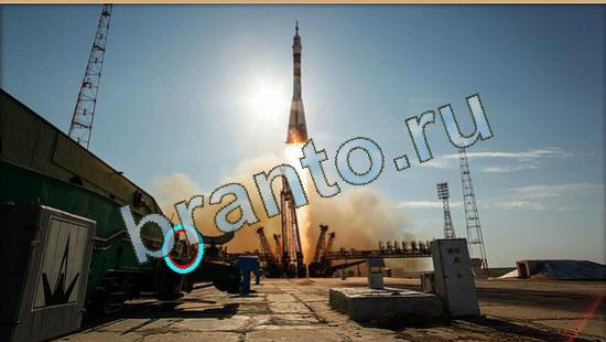 Где же кот прохождение игры Уровень 4182