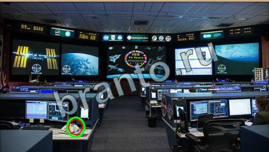 Прохождение игры Где же кот Уровень 4184