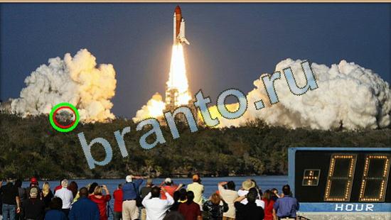 ответы Где же кот Уровень 4185