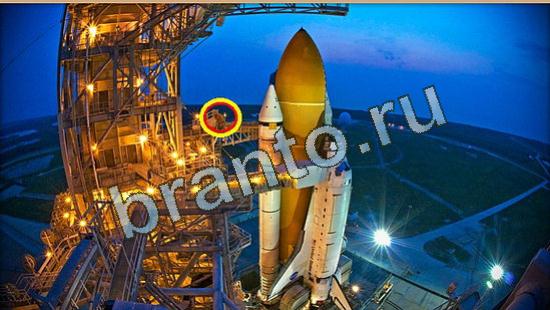 решения для игры Где же кот Уровень 4188