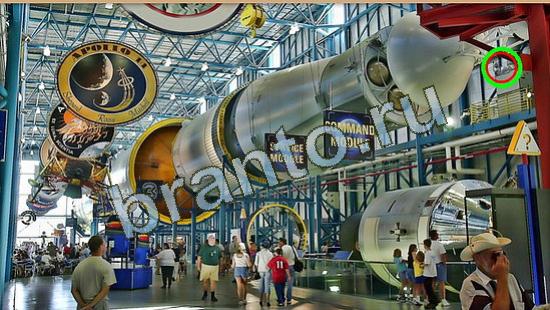 Где же кот ответы на новые задания Уровень 4193