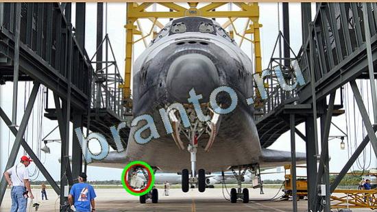 решения на игру Где же кот Уровень 4195