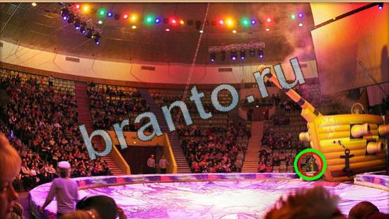 Решения на игру Где же кот Уровень 4243