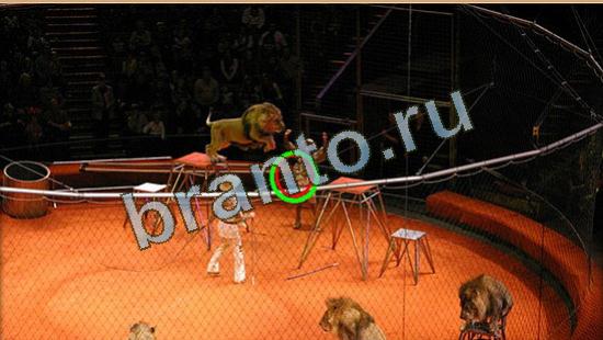 Помощь на игру Где же кот Уровень 4244