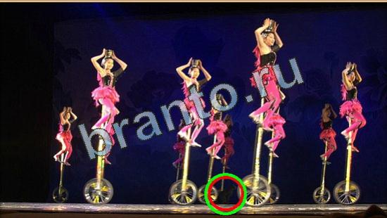 ответы к игре Где же кот Уровень 4245