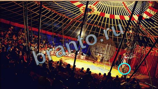 Где же кот игра ответы в одноклассниках Уровень 4247