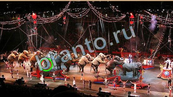 Где же кот? подсказки Уровень 4249