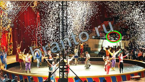 Где же кот? помощь Уровень 4250