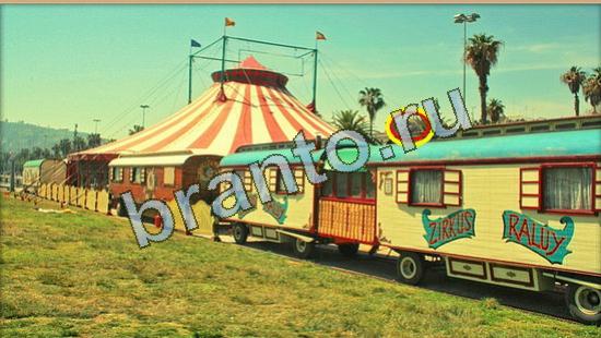 решебник на игру Где же кот Уровень 4251