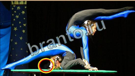 Где же кот? решения Уровень 4252