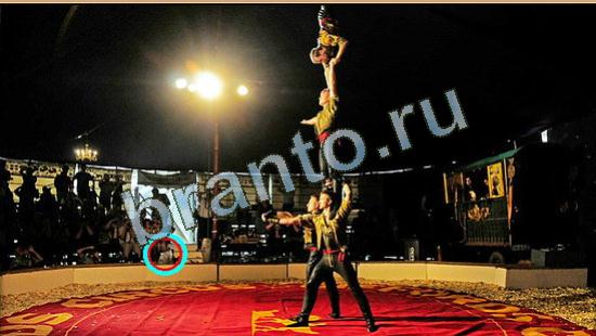 Где же кот игра ответы Уровень 4253