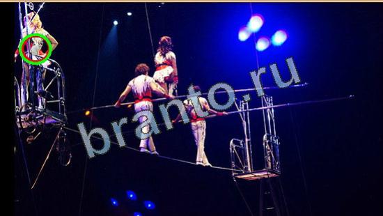 Где же кот игра подсказки Уровень 4254