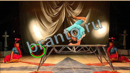 Где же кот ответы в картинках Уровень 4256