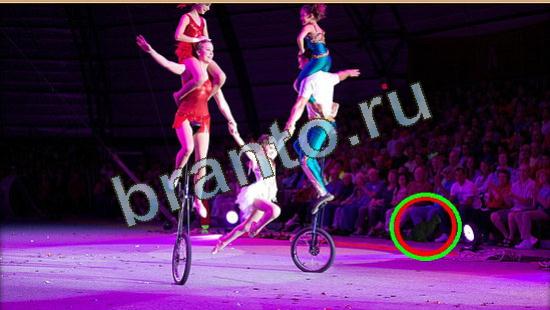 Игра Где же кот ответы Уровень 4257