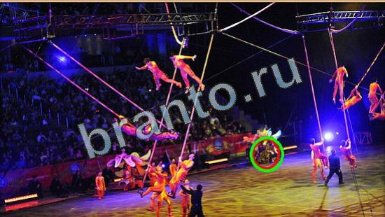 Игра Где же кот подсказки Уровень 4258