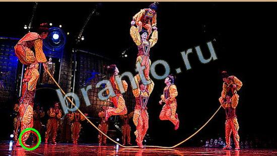 игра Где же кот помощь Уровень 4259