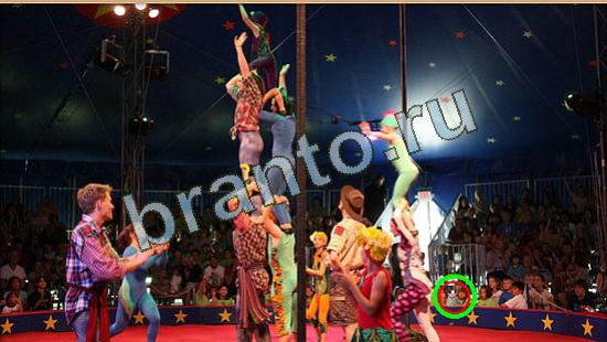 Игра Где же кот прохождение Уровень 4260