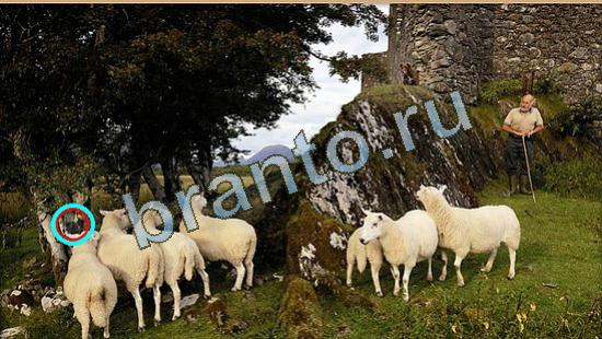 відповіді на игру Где же кот в одноклассниках Уровень 4263