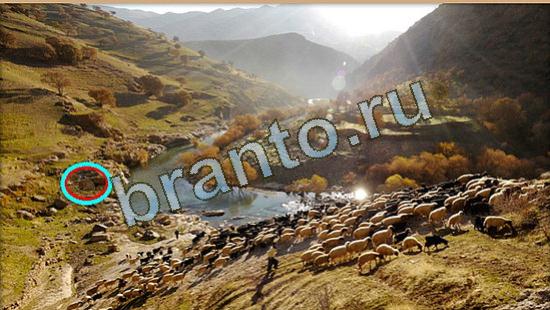 ответы для игры Где же кот Уровень 4267