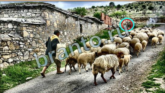 ответы в картинках на игру Где же кот Уровень 4277