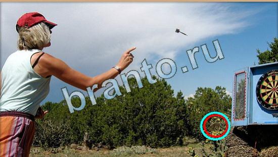 ответы на игру в одноклассниках Где же кот Уровень 4406