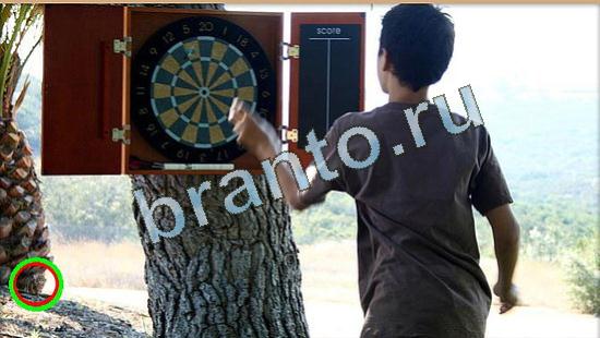 Где же кот? решения Уровень 4412