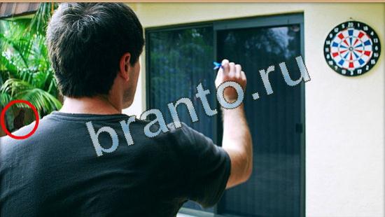 Игра Где же кот подсказки Уровень 4418