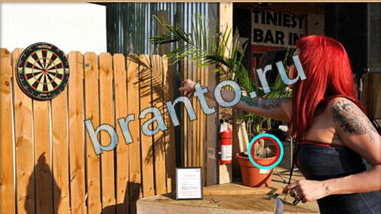 игра Где же кот помощь Уровень 4419