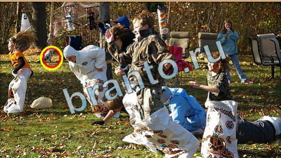 ответы Где же кот Уровень 4425