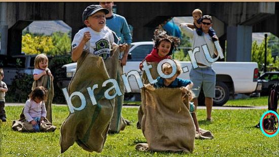 решения для игры Где же кот Уровень 4428