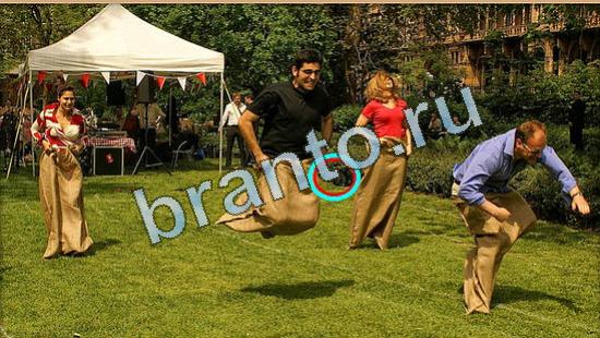 Где же кот игра ответы Уровень 4429