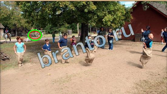 игра в одноклассниках Где же кот ответы Уровень 4430