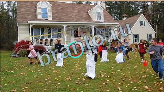 Где же кот ответы на новые задания Уровень 4433