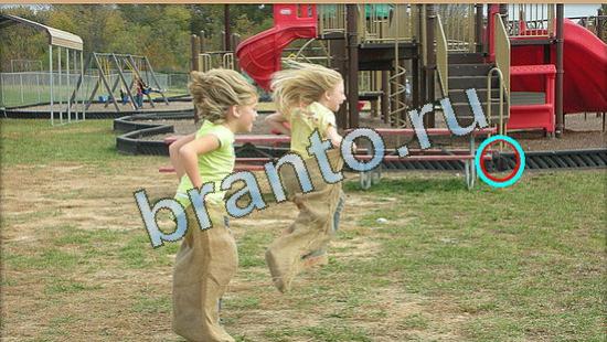 ответы на игру Где же кот Уровень 4434