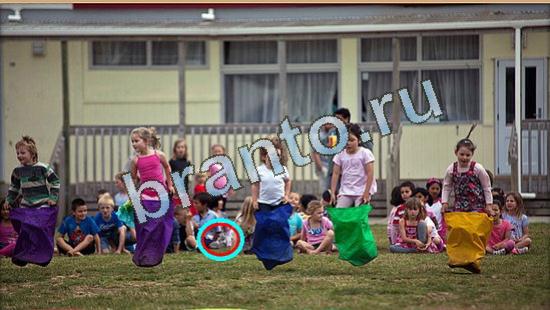 решения на игру Где же кот Уровень 4435