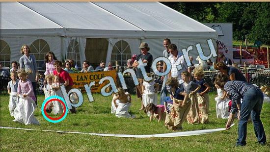 ответы на игру Где же кот Уровень 4436