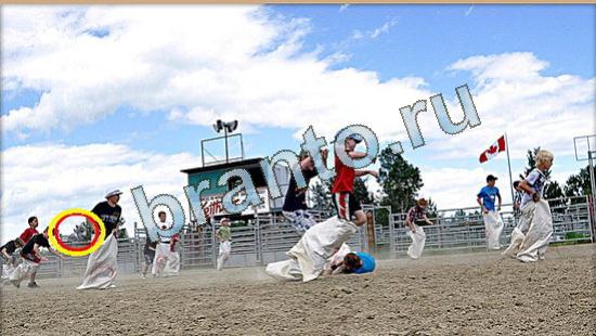 Где же кот ответы в одноклассниках Уровень 4439