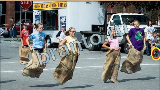 Где же кот игра ответы Уровень 4440