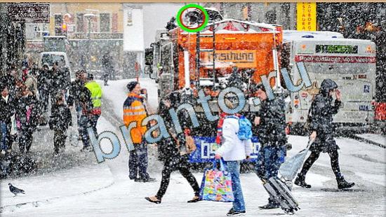 ответы на игру Где же кот Уровень 4441