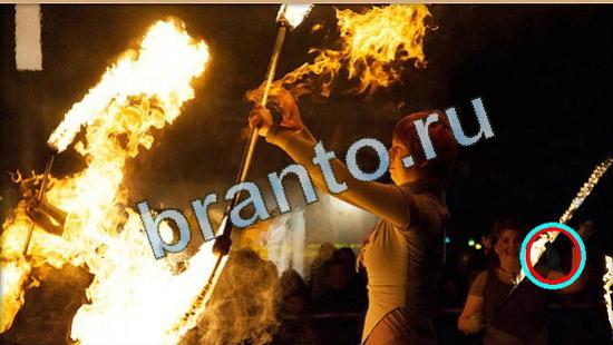 Решения на игру Где же кот Уровень 4443