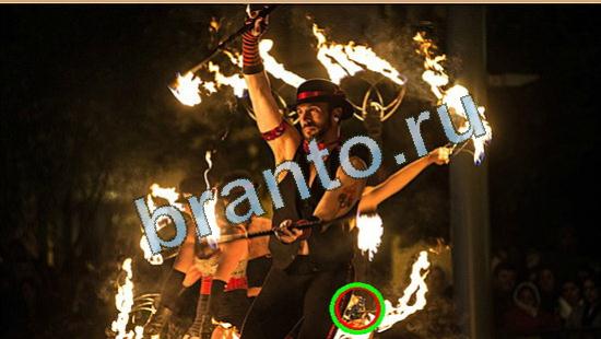 ответы Где же кот Уровень 4465