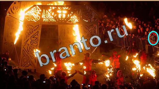 решения для игры Где же кот Уровень 4468