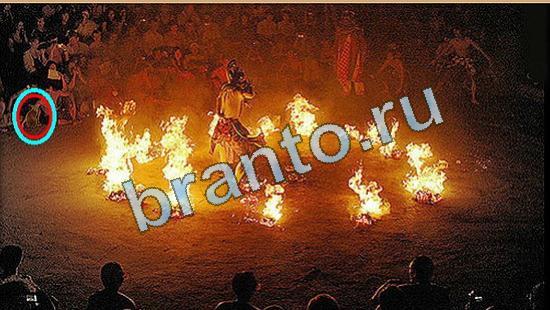 Где же кот игра ответы Уровень 4469