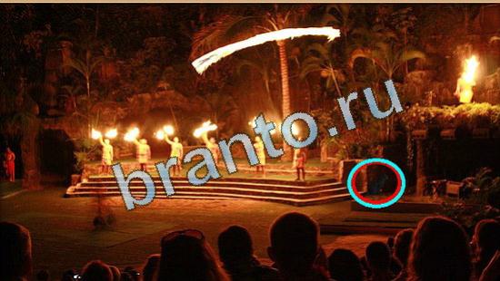 ответы на игру Где же кот в скриншотах Уровень 4472