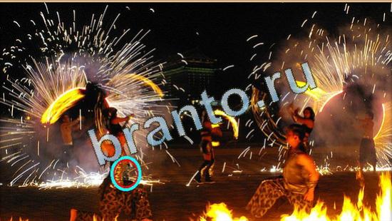 Где же кот ответы на новые задания Уровень 4473