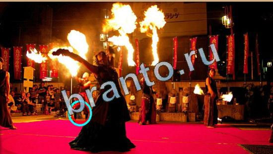 решения на игру Где же кот Уровень 4475