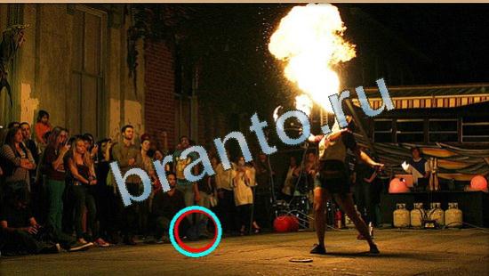 ответы на игру Где же кот Уровень 4476