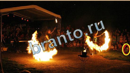 Где же кот игра ответы Уровень 4480