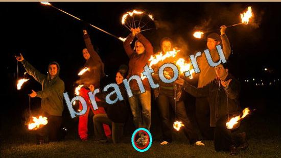 ответы на игру Где же кот Уровень 4481